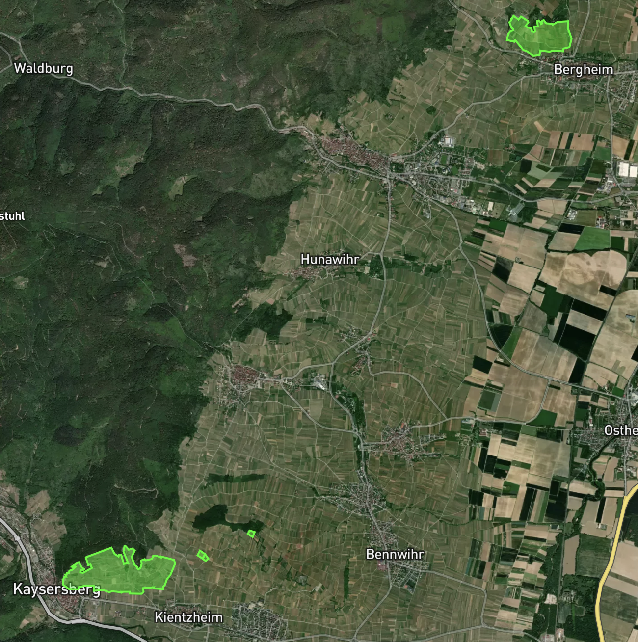 Larger sattelite image showing the outlines of the plots of land of interest for the futher analysis